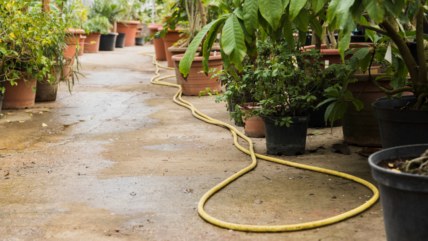 Garden Area Waterproofing